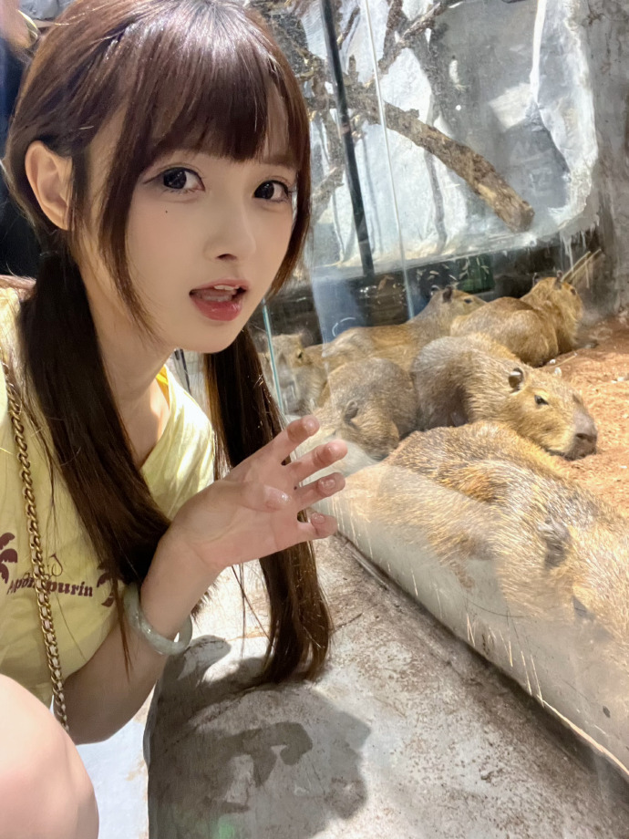 醉拳2